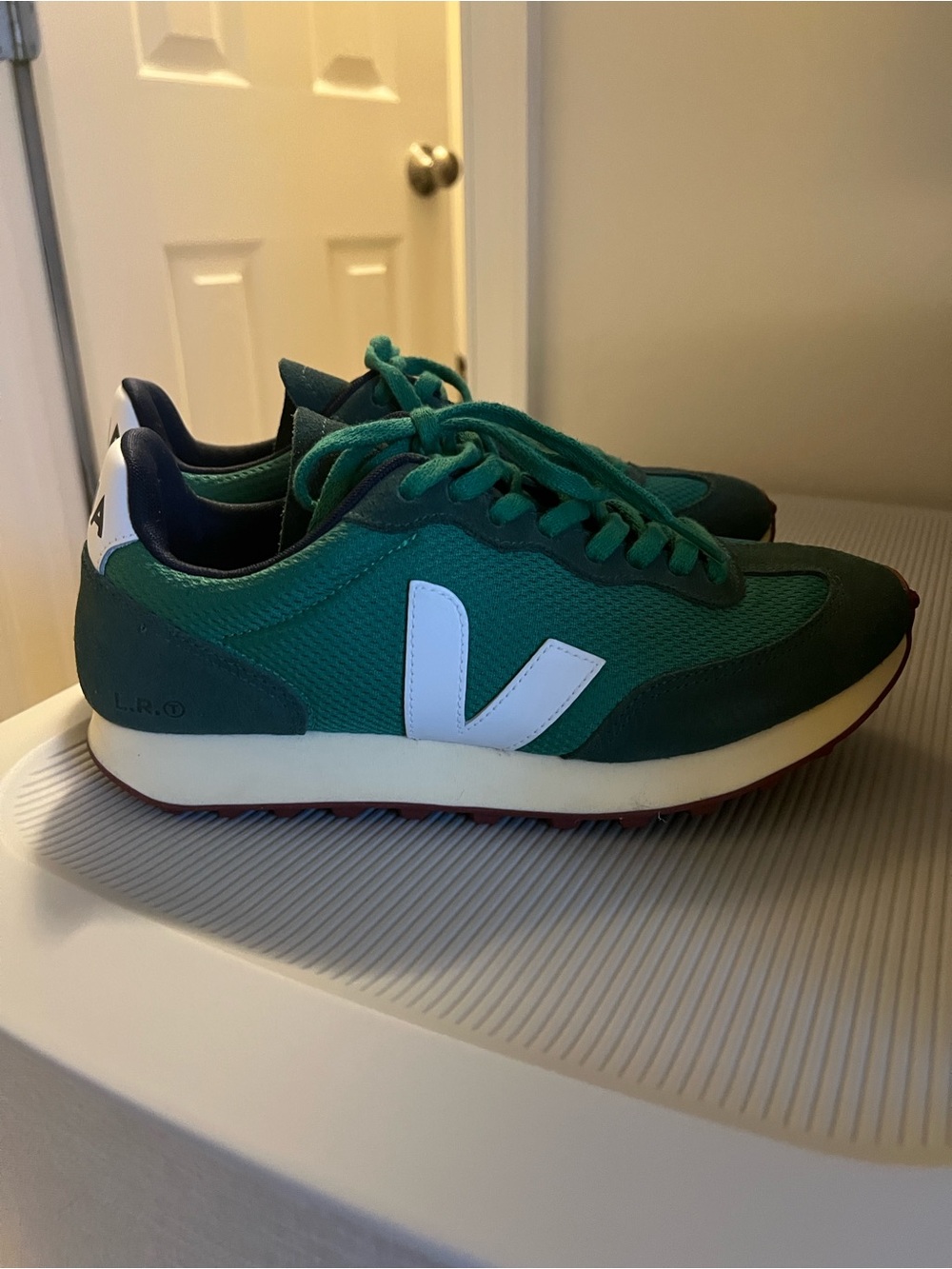 Veja Rio Branco Low-Top Sneakers in Green & White